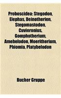 Proboscidea: Stegodon, Elephas, Deinotherien, Stegomastodon, Cuvieronius, Gomphotherium, Amebelodon, Moeritherium, Phiomia, Platybelodon(German)