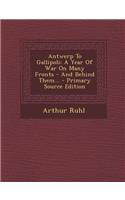 Antwerp to Gallipoli: A Year of War on Many Fronts - And Behind Them... - Primary Source Edition: A Year of War on Many Fronts - And Behind Them... - Primary Source Edition