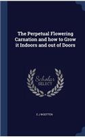 Perpetual Flowering Carnation and how to Grow it Indoors and out of Doors