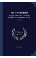 Pictorial Bible: Being The Old And New Testaments According To The Authorized Version; Volume 3