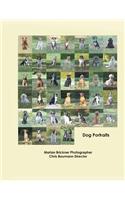 Dog Portraits