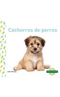 Cachorros de Perros (Puppies) (Spanish Version)