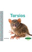 Tarsios (Tarsiers)