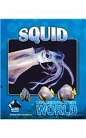 Squid