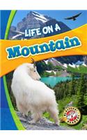 Life in a Mountain