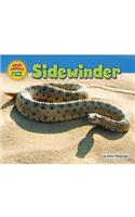 Sidewinder