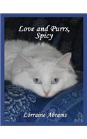 Love and Purrs, Spicy