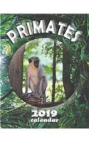 Primates 2019 Calendar