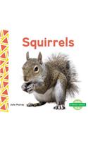 Squirrels