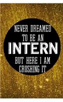 Never Dreamed To Be an Intern But Here I Am Crushing It