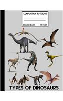 Composition Notebook College Rulled 110 pages Types Of Dinosaurs