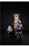 Biker Dog And Cat Notebook