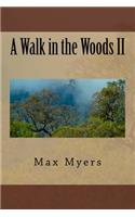 Walk in the Woods II