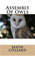 Assembly of Owls