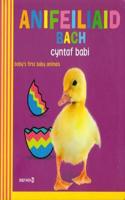 Anifeiliaid Bach Cyntaf Babi / Baby's First Baby Animals