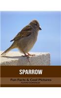 Sparrow: Fun Facts & Cool Pictures