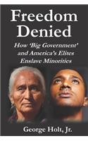 Freedom Denied: How 'Big Government' and America's Elites Enslave Minorities