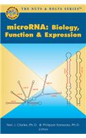 MicroRNAs: Biology, Function & Expression