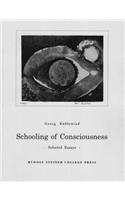 Schooling of Consciousness