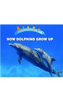 How Dolphins Grow Up: (Animals Growing Up)