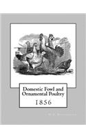Domestic Fowl and Ornamental Poultry