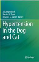 Hypertension in the Dog and Cat