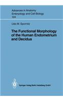 The Functional Morphology of the Human Endometrium and Decidua