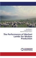 Performance of Mecheri Lambs for Mutton Production