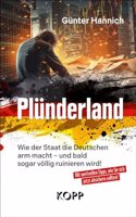 Plunderland: Wie der Staat die Deutschen arm macht â€“ und bald sogar vollig ruinieren wird