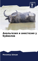 Анальгезия и анестезия у буйволов