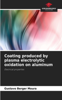 Coating produced by plasma electrolytic oxidation on aluminum