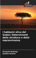 I babbuini oliva del Sudan