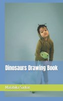 Dinosaurs Drawing Book