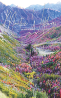 Mountain Wildflowers