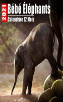 Calendrier 2021 Bébé Éléphants