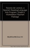 Tesoros de Lectura, a Spanish Reading/Language Arts Program, Grade 6, Workstation Flipchart Package