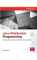 Java Websocket Programming