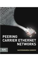 Peering Carrier Ethernet Networks