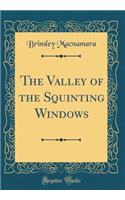 The Valley of the Squinting Windows (Classic Reprint)