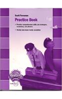 Reading 2007 Practice Book Grade 3.1