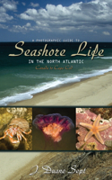 A Photographic Guide to Seashore Life in the North Atlantic: Canada to Cape Cod(English)