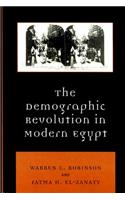 The Demographic Revolution in Modern Egypt