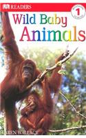 Wild Baby Animals