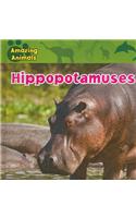 Hippopotamuses