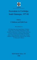 Excavations in Cowbridge, South Glamorgan, 1977-1988: (BAR British)