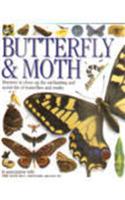 Butterfly & Moth