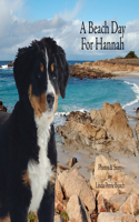 A Beach Day for Hannah