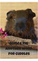 Guinea pig another word for cuddles: Notebook 6x9inches 120 pages. Paper in a line.Perfect gift idea.For pet's breeding enthusiasts and for people with a sense of humor