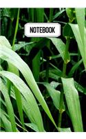 Notebook: Prise de notes, original & pratique de 110 pages lignées avec une couverture photo