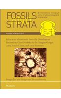 Ediacaran Microfossils from the Doushantuo Formation Chert Nodules in the Yangtze Gorges Area, South China, and New Biozones